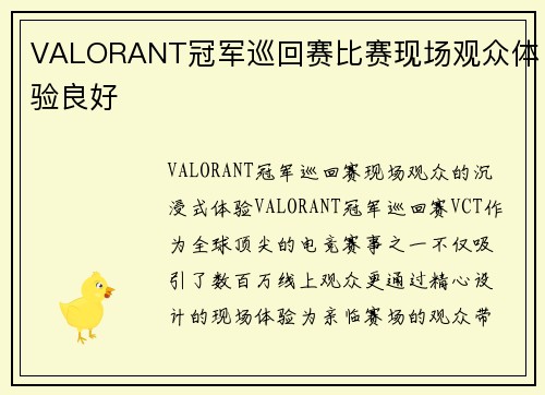 VALORANT冠军巡回赛比赛现场观众体验良好